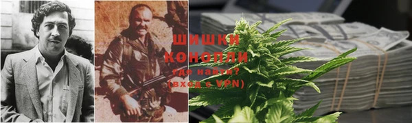 дживик Белоозёрский
