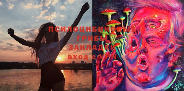 дживик Белоозёрский