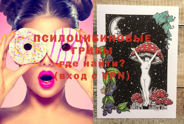 дживик Белоозёрский