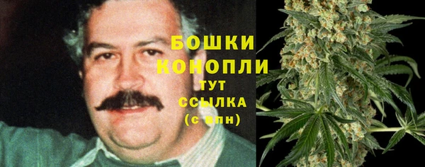 дживик Белоозёрский